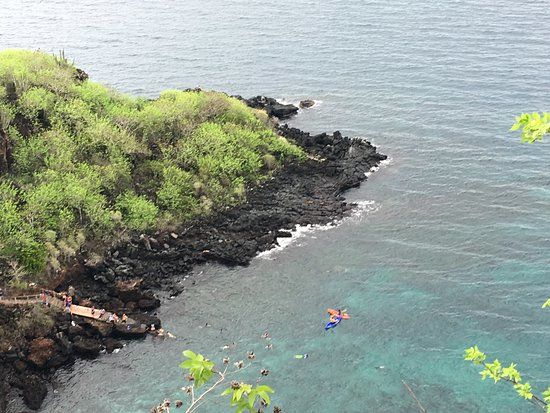 Estatua de Charles Darwin